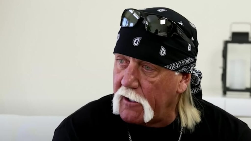 celebrity lawsuits payouts - Hulk Hogan - TMZ